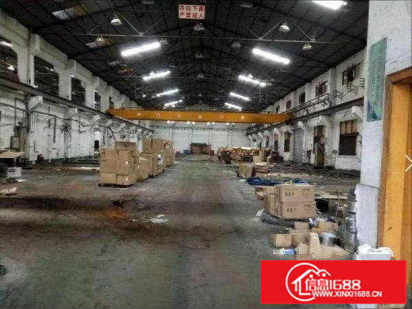 常平镇13米高单一层厂房40000平方大小可分租