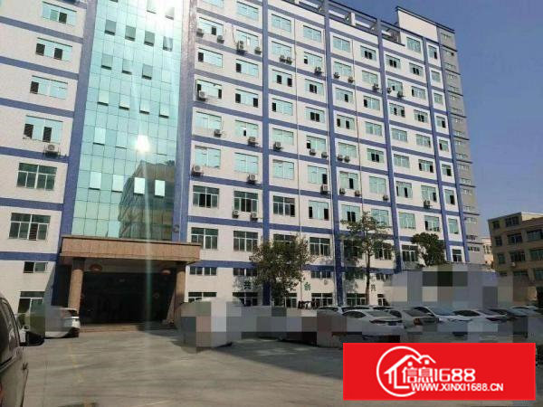 虎门精品厂房1900平米（带装修主线急租！）