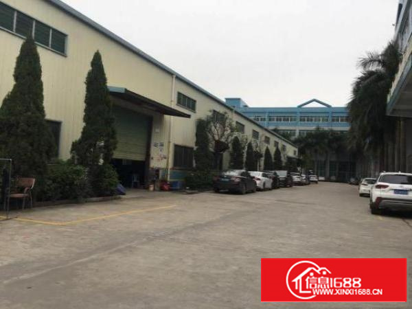 原房东钢结构10米滴水独门独院厂房出租