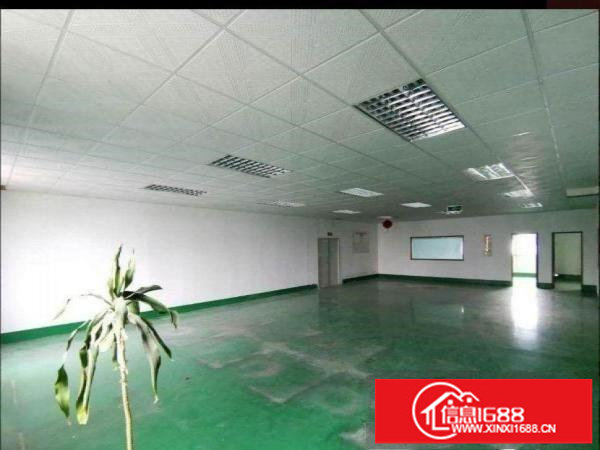 现成办公室！豪华装修！坑梓秀新工业区新出2楼500平厂房