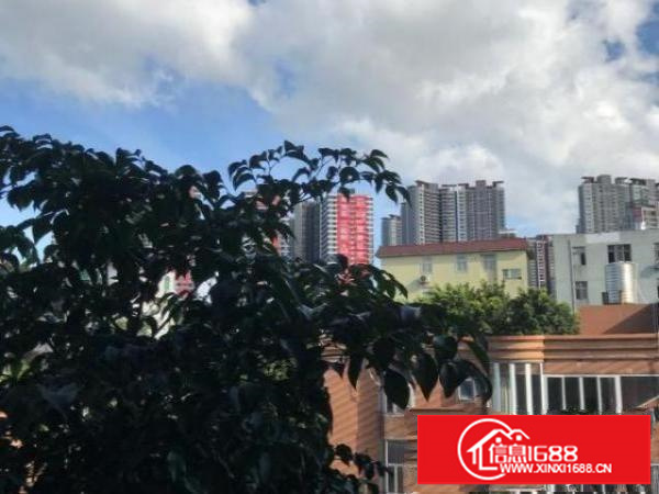 龙岗坪西印刷厂厂房分租500到800平