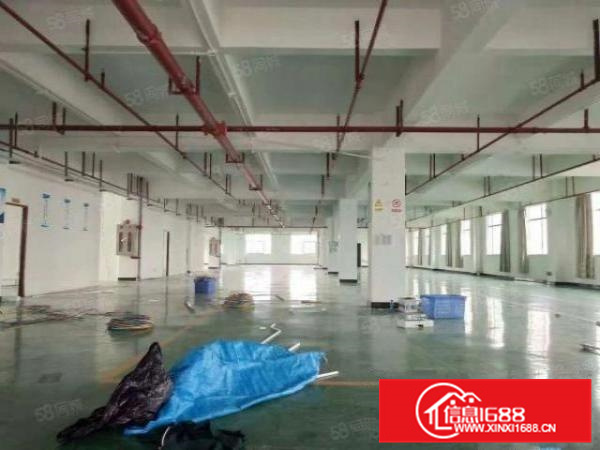 杏坛高新区8500方出租，形象好，交通方便，可分租