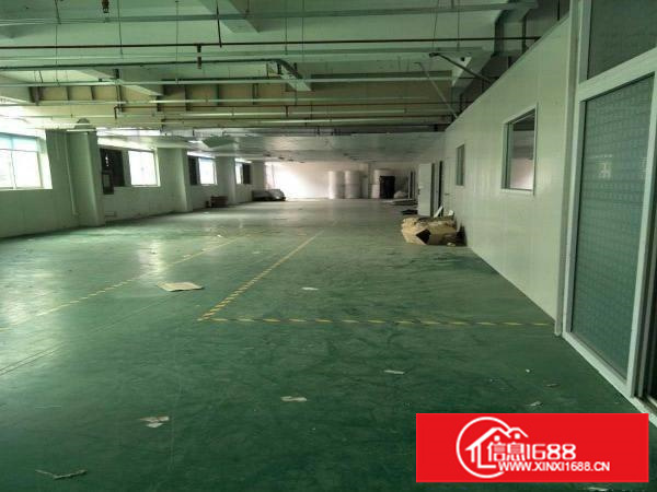 出租龙岗区平湖厂房400-600平方（免中介）