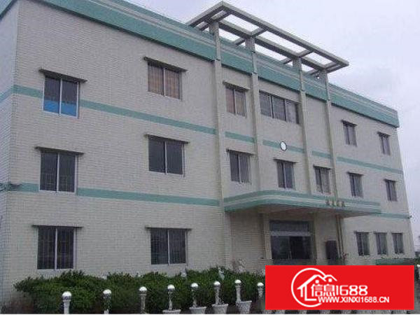 常平桥沥工业园2800平方厂房