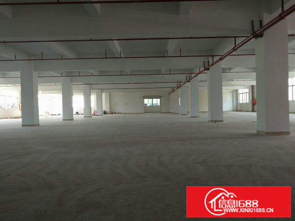 凤岗全新楼上厂房出租）带电梯1000平米全新仓库出租
