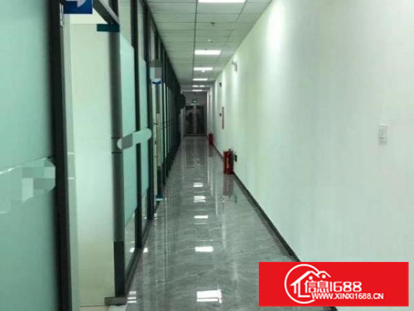 标准实际面积出租，有红本原房东