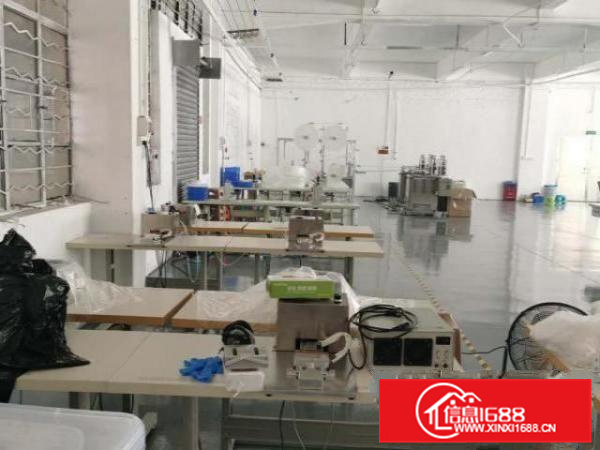 全新安装好水电，地胶白石墙，有工用电梯，三间现成办公室