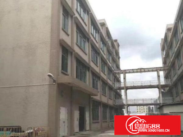 龙岗坪地坪西9800平方红本厂房出租五吨电梯原房东