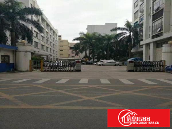 丹竹头高新产业园区150一5800平大小面积出租