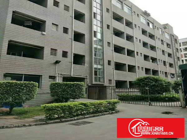 观澜梅观高速出口旁花园式独栋8000平方厂房招租