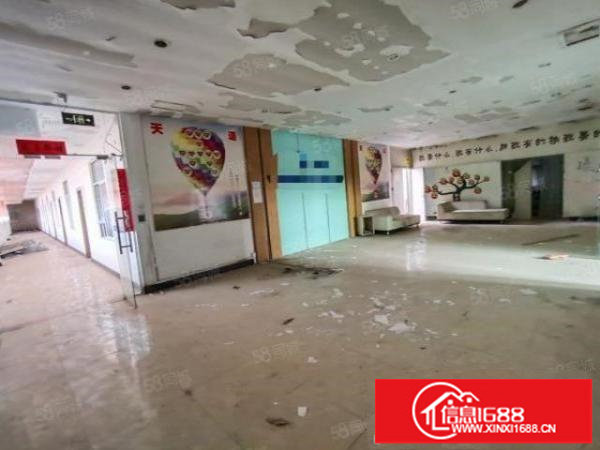 松岗燕川原房东带红本独门独院厂房三层共4000平可大小分组