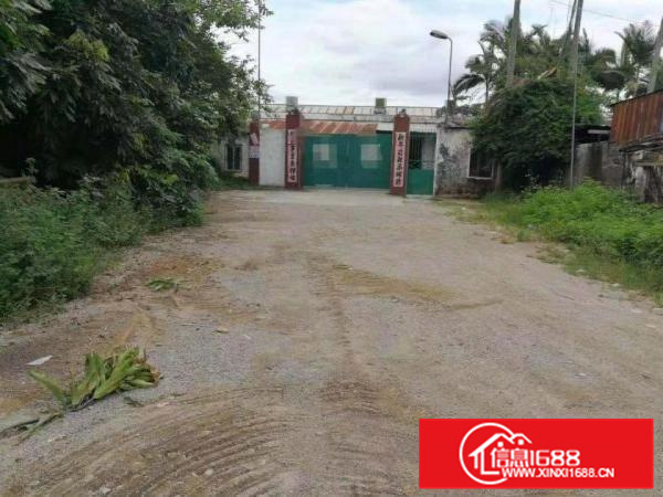 惠东县白花镇省道边2000平米独院铁皮房出租