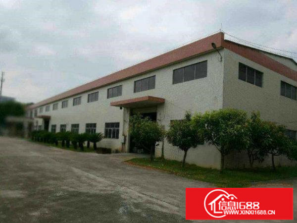 出租布吉布吉街经典单一层标准厂房700平方高6.5米精装修