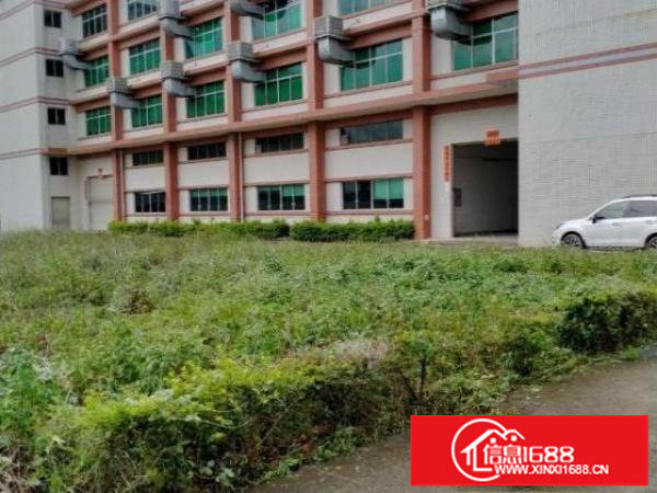 龙岗平湖新出标准一楼厂房，层高7米，现成行车，大小分租