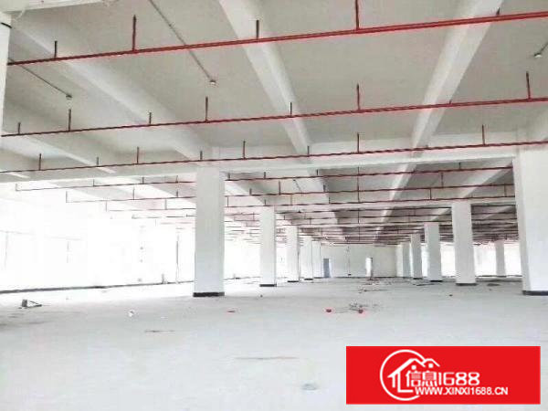 桥头镇大洲厂房带消防喷淋分租2850平一楼带牛角位