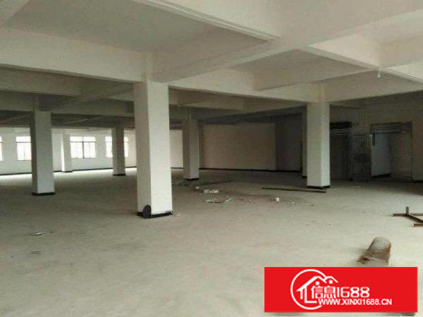 龙岗原房东独院厂房三层每层1600平方出租可分租