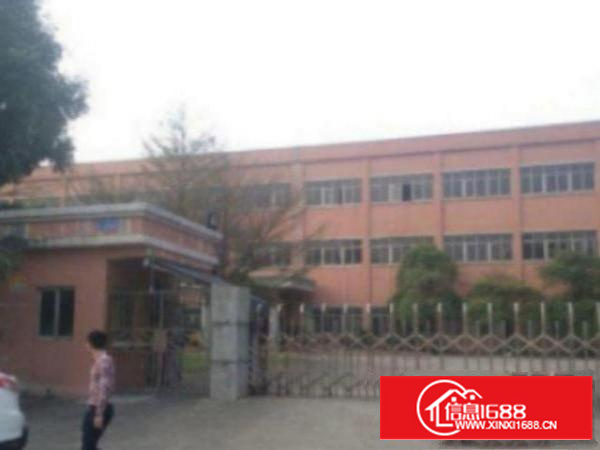 万江成熟工业园厂房分租1400平方低价招租中