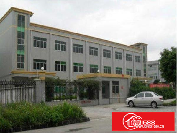 常平司马楼上600平方带装修厂房出租