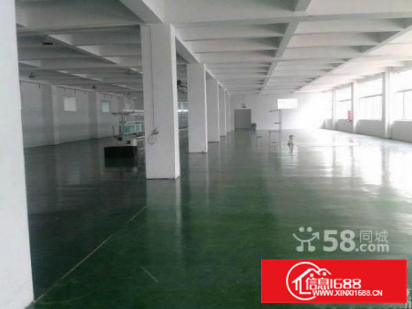 牛栏前;展滔;油松;1000、1500平带装修厂房