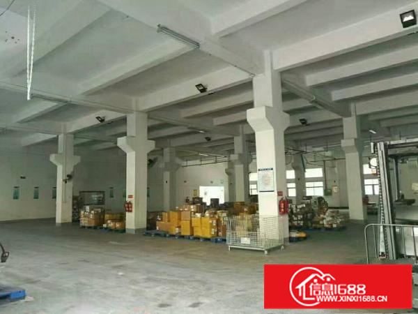 6.5米，仲恺潼湖有牛腿一楼980平米