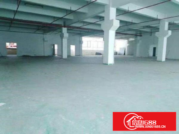 沙井新桥村委独门独院5800平方厂房出租