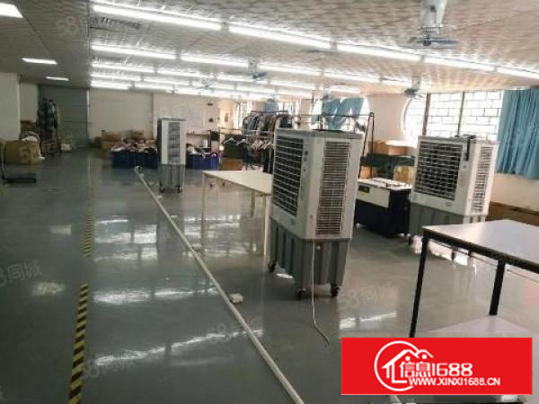 石排原房东700方可实量。价格12可谈周边无居民