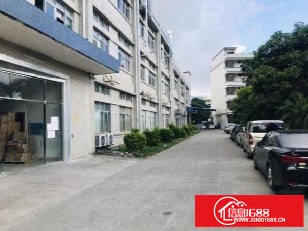 桥头镇新出原房东厂房标准一楼出租1450平方，豪华装修办公室