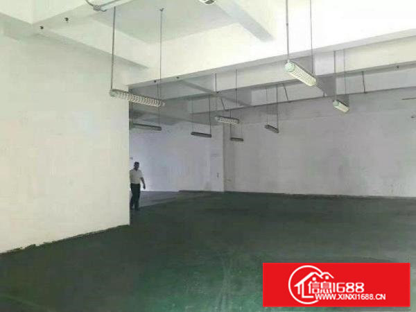 寮步镇新出原房东独院厂房4500平米带豪华装修