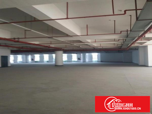 荷坳花园式厂房2500平方出租，800平起分租