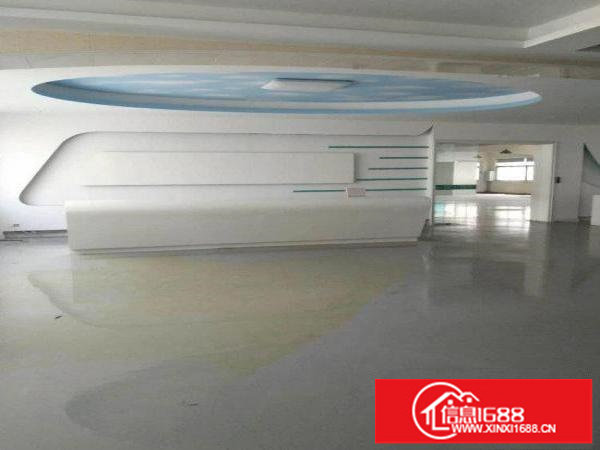 凤凰华伦工业区2000平方带装修无尘车间厂房租