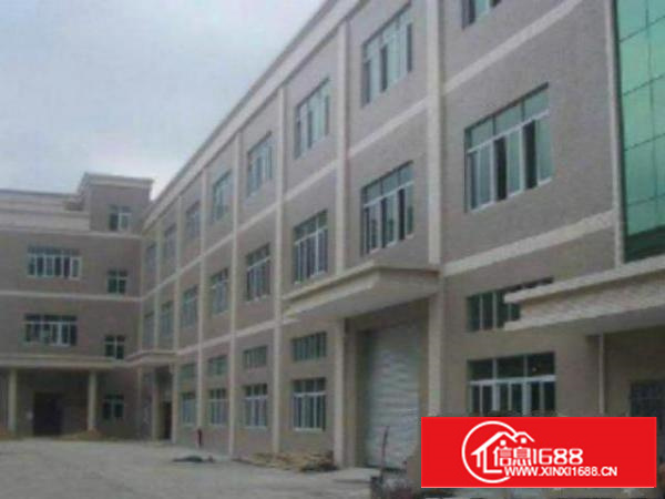 万江独院标准1-3层厂房5000平方米出租现成宿舍办公室