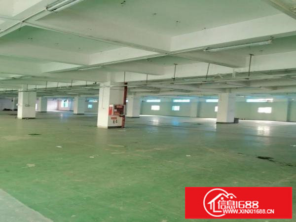 横岗安良1000平方厂房出租