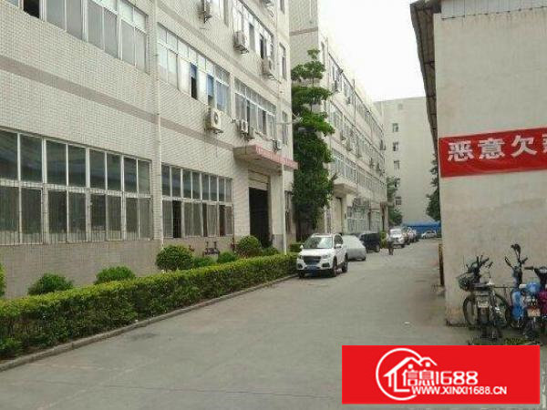 油松派出所东吴工业区新出3楼850平方带装修免转让费招租