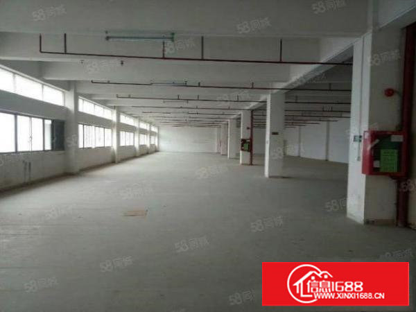 长安乌沙步步高大道新出楼上450平方米独院厂房招租