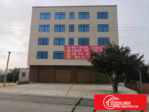 位置很靓大朗新马莲新出二楼280平方厂房带办公室装修