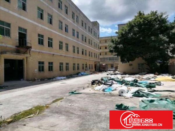 龙东义乌原房东独院出租5500平米有电梯