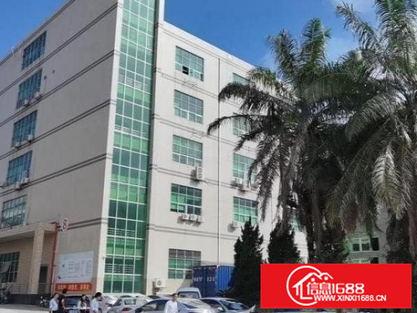 出租观澜福民原房东标准厂房1250平带精装修