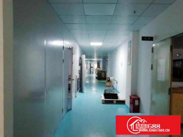 石排塘尾村三楼厂房350平现成装修适合电商贸易办公