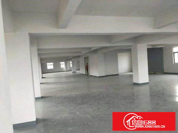 沙角新出一全新独栋厂房1000平方。可分租。