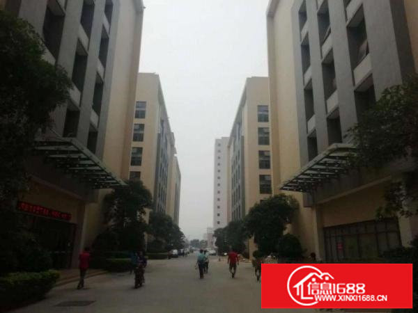 出租布吉丹竹头原房东楼上零公摊1500平厂房好招工现成水电