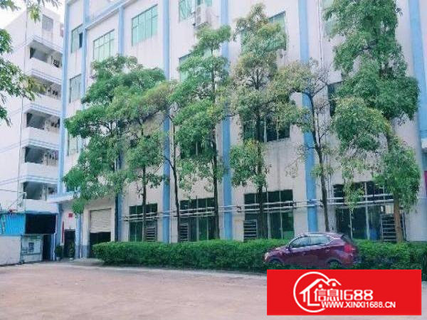 龙岗中心城原房东独院厂房出租4800平可分租