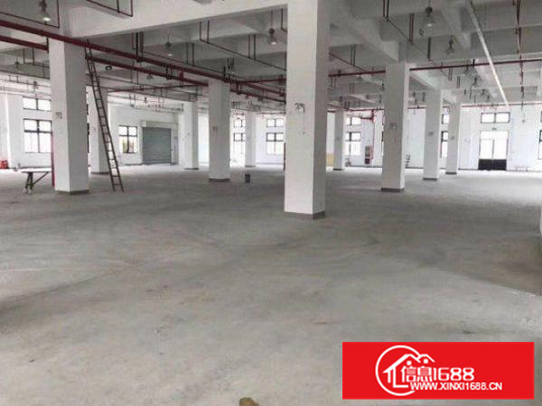 出租惠阳新墟4800平方独院三层厂房