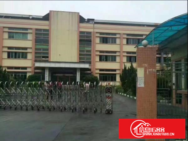 常平超靓分租1楼600平米厂房招租