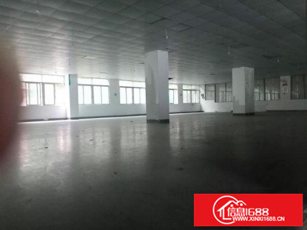 原房东独院红本厂房13元出租10000平方