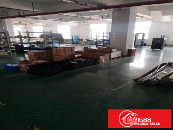 宝龙新出楼上带卸货平台装修1650平出租