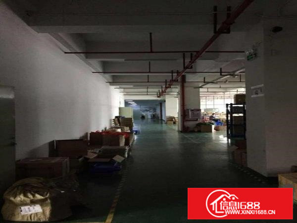 凤岗雁田怡安附近精装修厂房出租1140平水电齐全