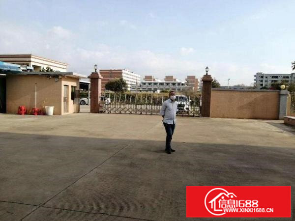 企石镇原房东15块重工业钢结构厂房出租