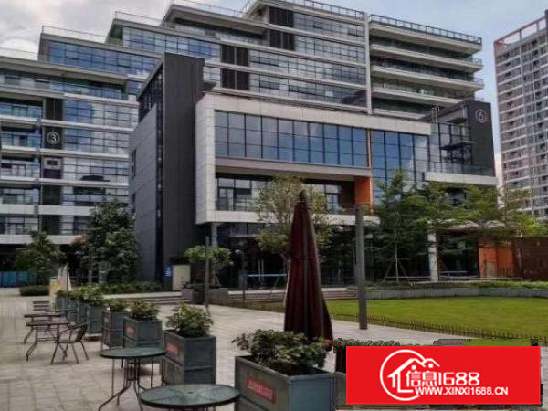 凤岗金凤凰办公楼小厂房出租电子包装电商仓储豪华装修