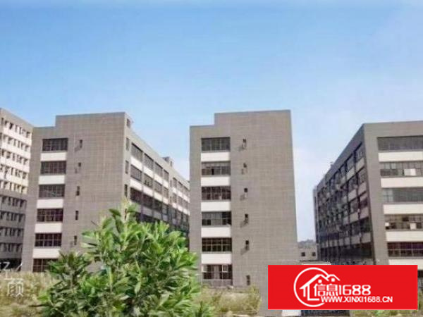 清溪三中高薪科技园一楼1000平,带三部航车航车