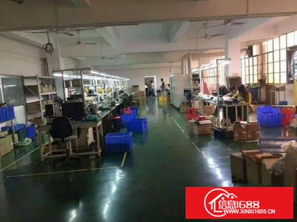 新出一楼、二楼各1000平米厂房出租可分租